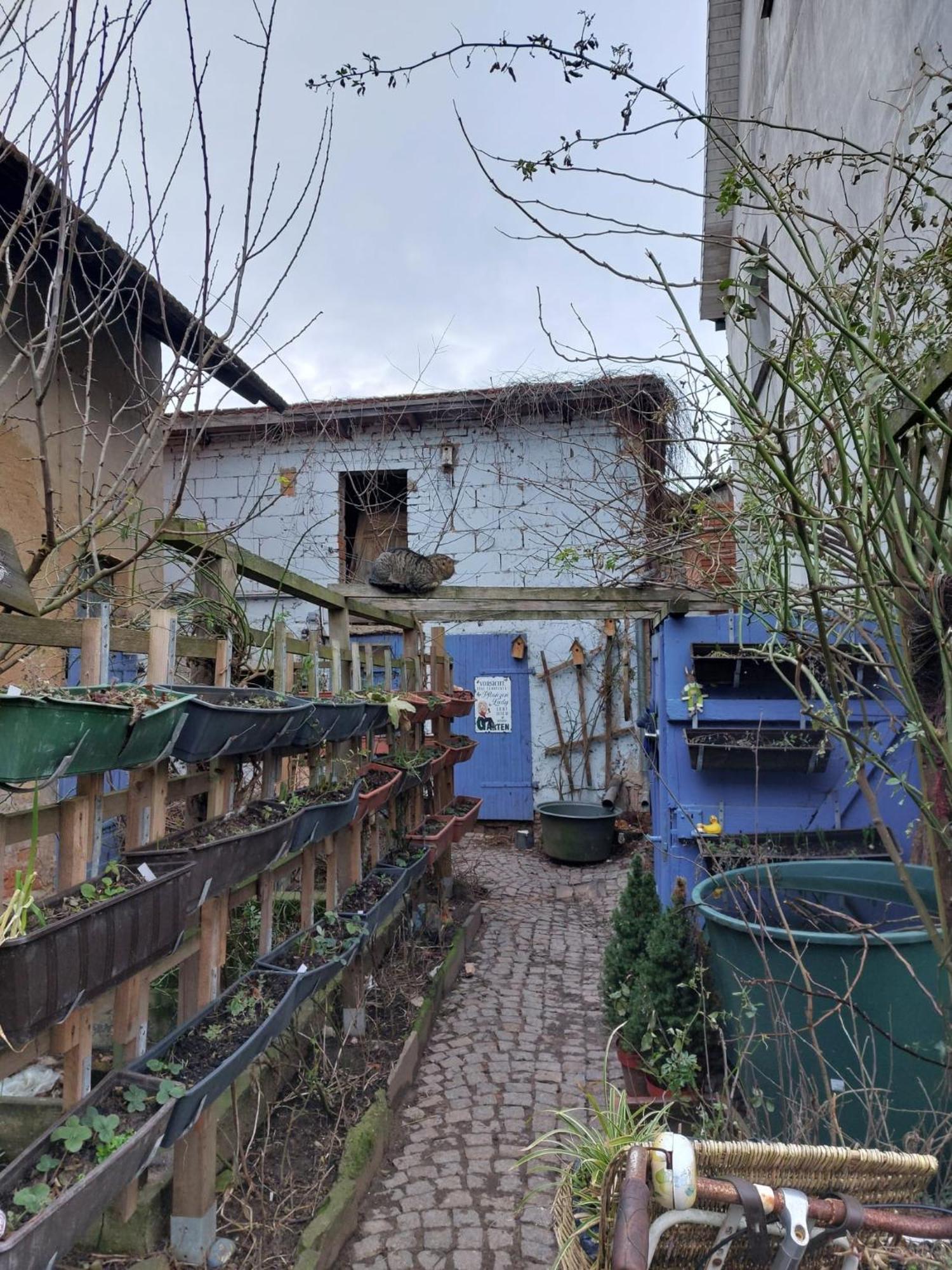 Bauernhof Privatzimmer Hortus Sandrine Gemeinschaftsbad Free Wifi Hausbreitenbach Exterior foto
